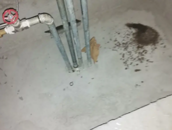 蜀山卫生间测漏水价格明细